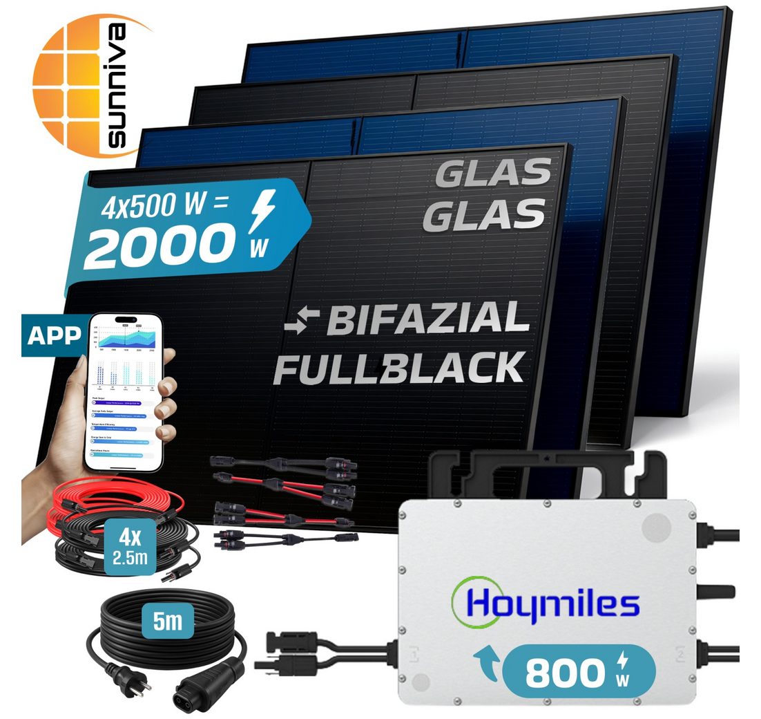 (HOYMILES 800W Wechselrichter