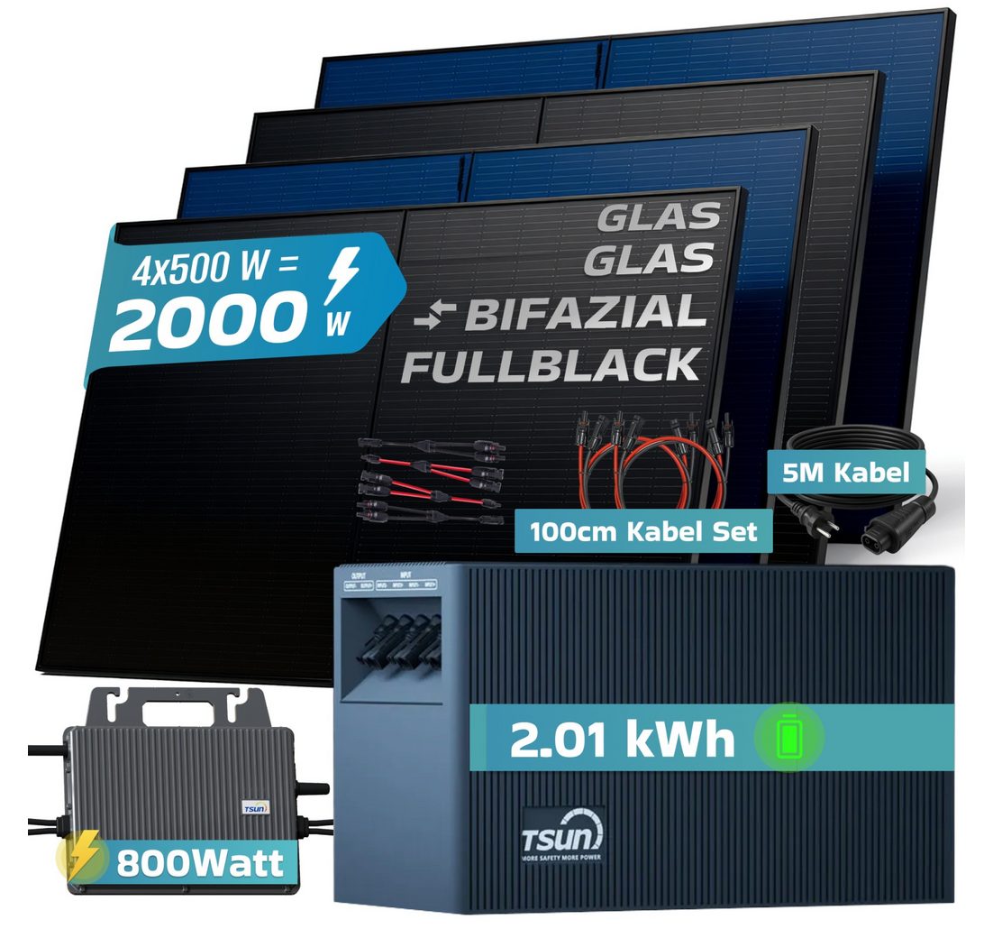 01 kWh Speicher TSUN TSOL-DCU2000Lite