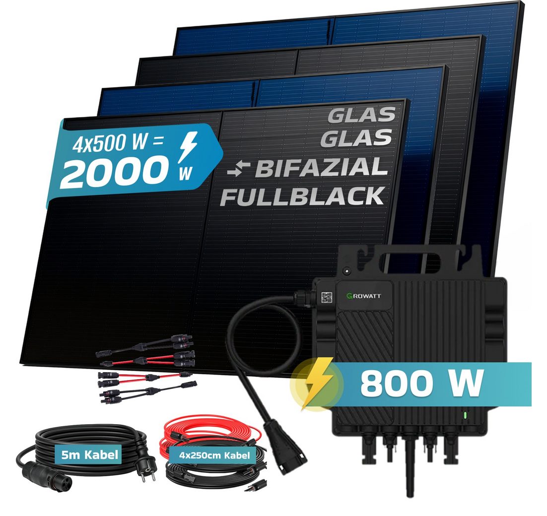 (GROWATT NEO-800M-X 800 Watt Wechselrichter
