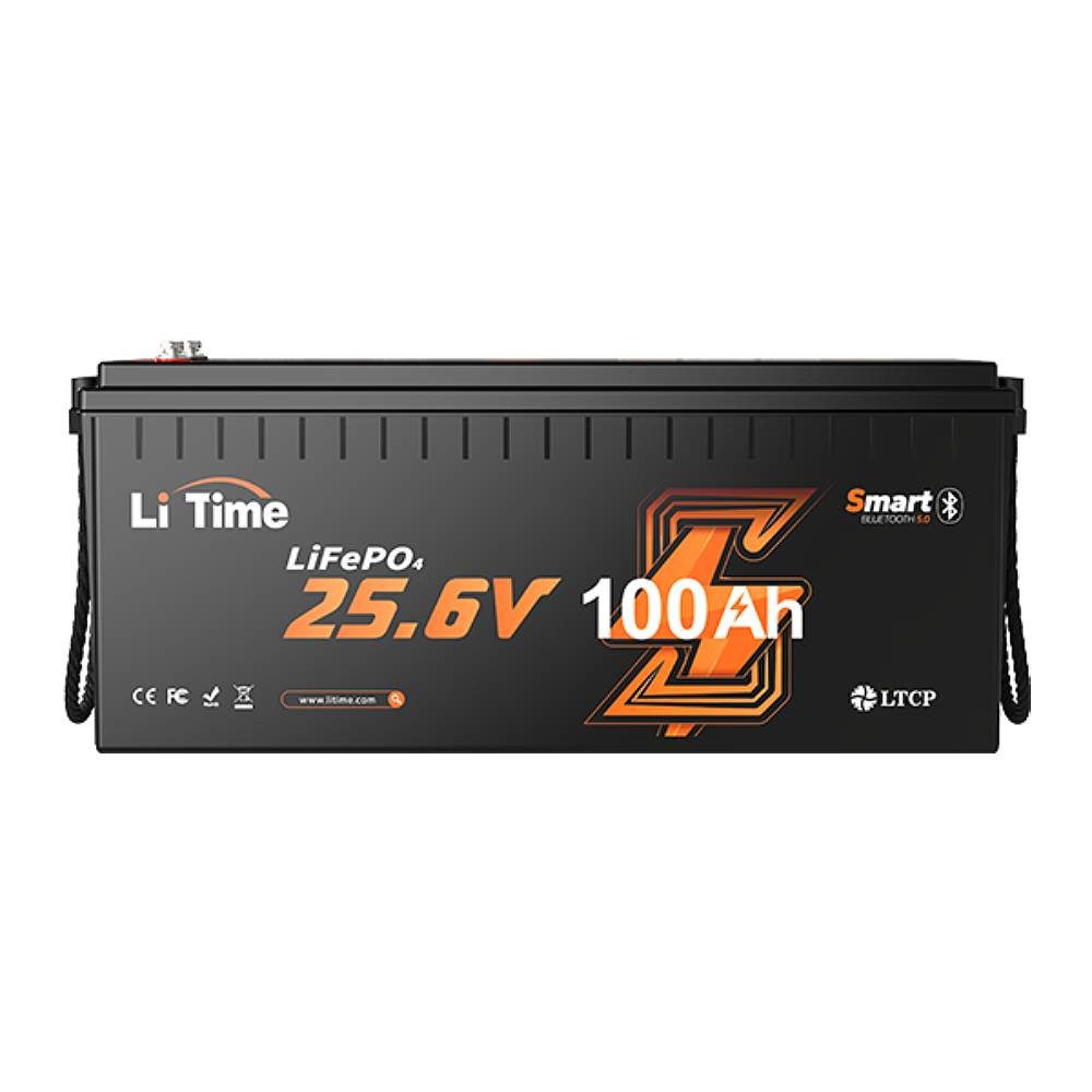 LiTime 24V 100Ah LiFePO4 Batterie mit Bluetooth und BMS 2560Wh Solarakkus (24 V)