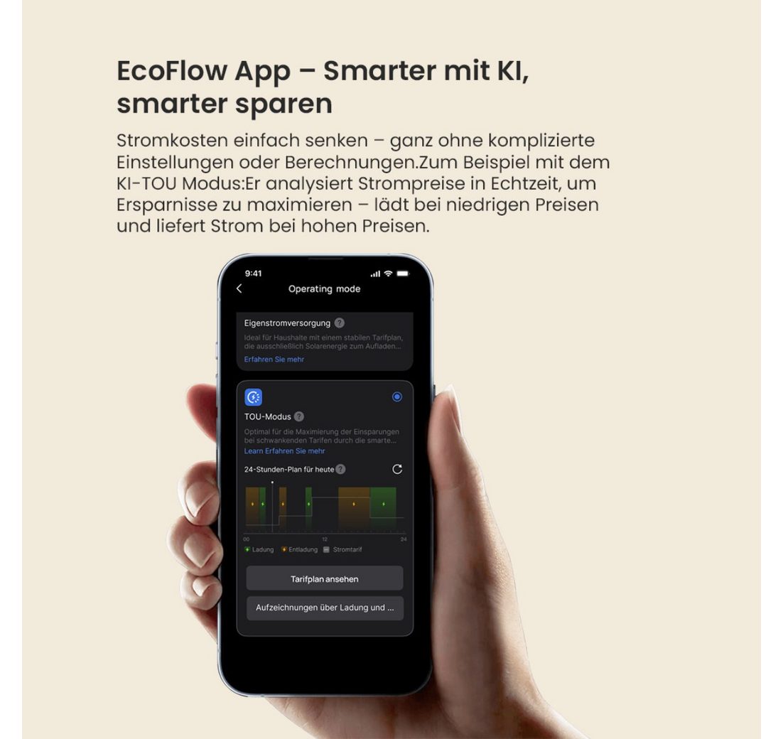 (Smart Meter im Lieferumfang enthalten)